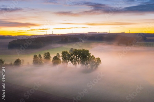 Quadro em tela Treetops protrude from the fog at sunrise, long exposure