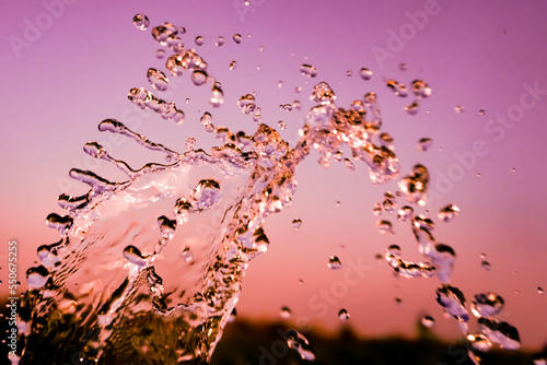 Water splash isolated on the pink background.