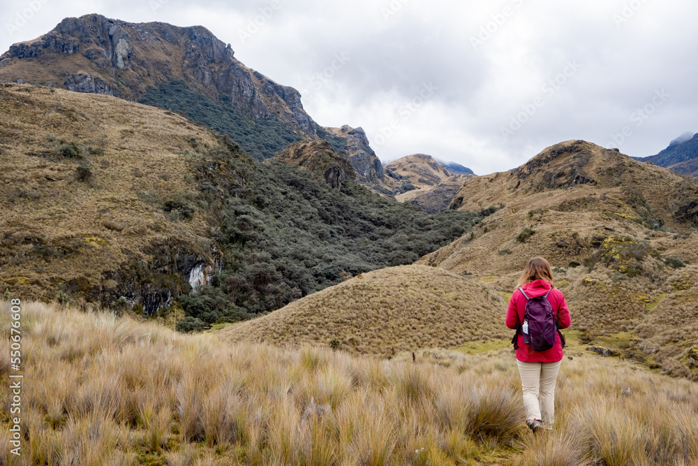 Photo from behind of a woman hiker walking on straw grass in Cajas National Park in the tropical Ecuadorian Andes.