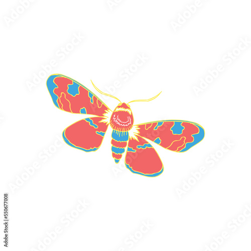 Butterfly on a white background. Actia Caja coloring vector template with white background