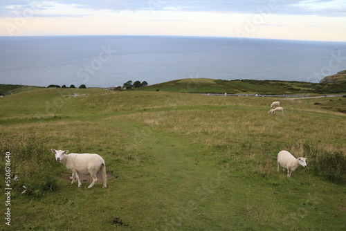 Landscape around West Shore Beach in Llandudno  Wales United Kingdom