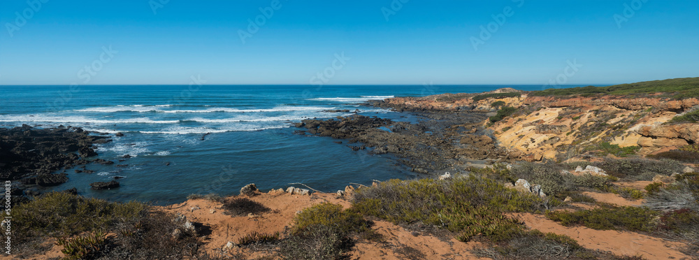 Panoramic view of sea shore, wild Rota Vicentina coast with ocean waves, sharp rock and green and red leaves of sour fig flower near Vila Nova de Milfontes, Portugal. Sunny day, blue sky.