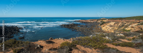 Panoramic view of sea shore, wild Rota Vicentina coast with ocean waves, sharp rock and green and red leaves of sour fig flower near Vila Nova de Milfontes, Portugal. Sunny day, blue sky.