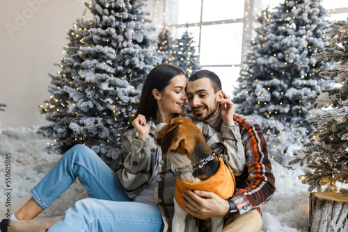 Photo shoot in the studio of a young couple. Couple with their dog. A guy with a girl is celebrating Christmas. New Year's love story.