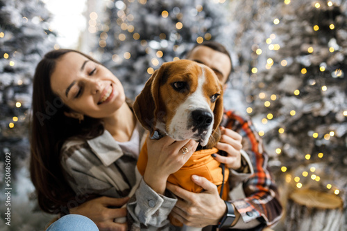 Photo shoot in the studio of a young couple. Couple with their dog. A guy with a girl is celebrating Christmas. New Year's love story.