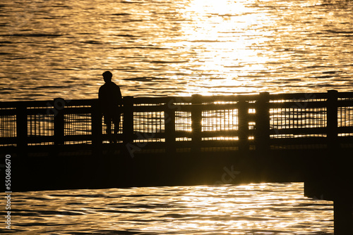 silhouette of people walking on the bridge