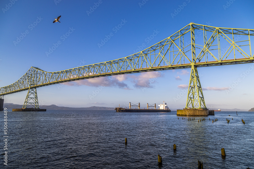 Naklejka premium bridge