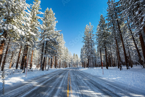 Winter road photo