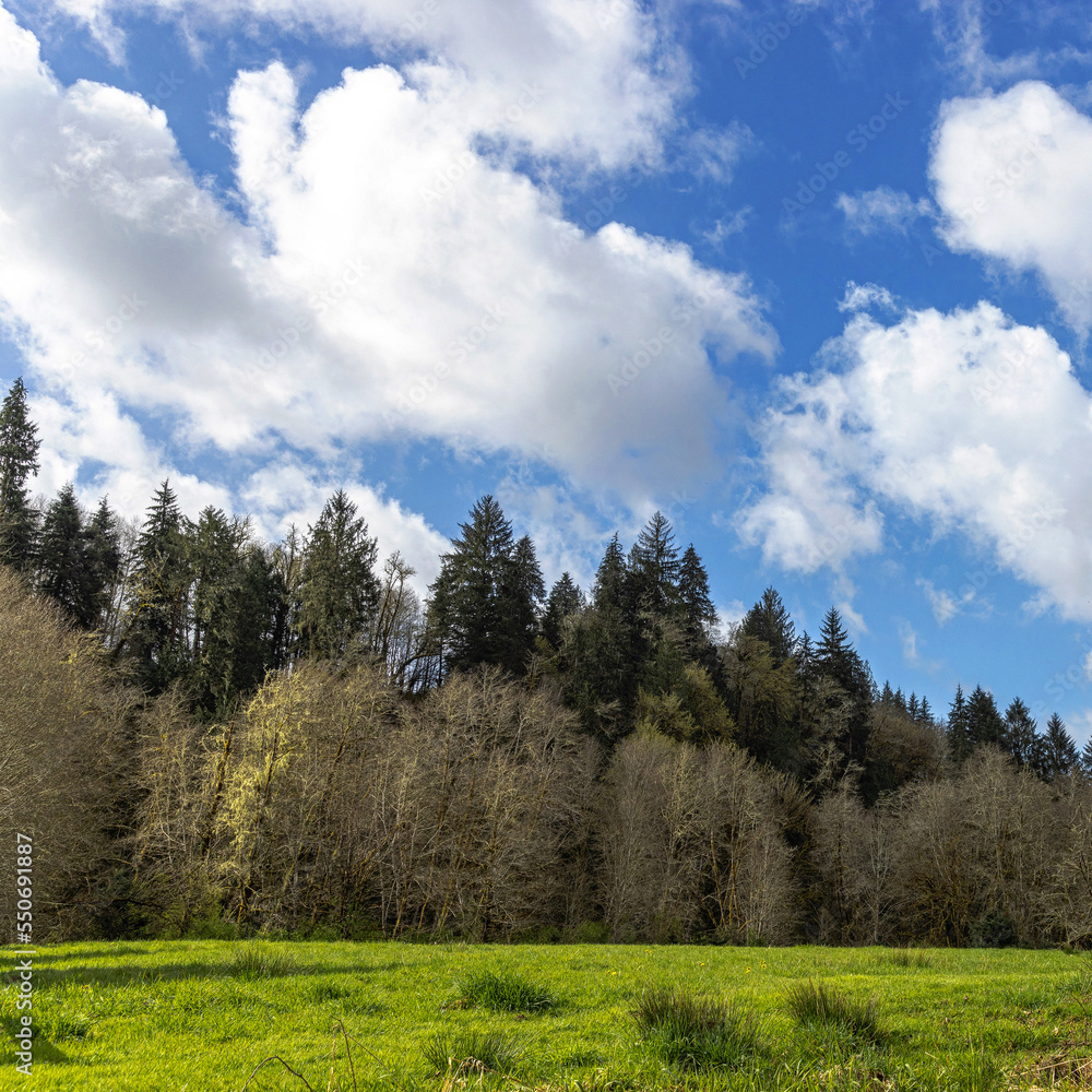 Fototapeta premium landscape with sky