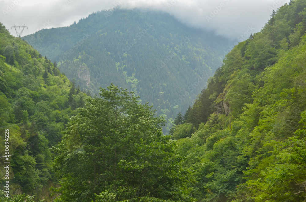 Obraz premium landscape in the morning