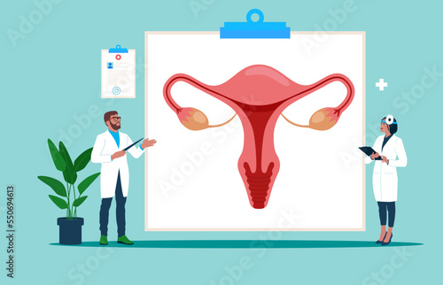 Model of the reproductive system of women. Modern vector illustration.