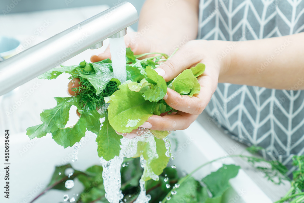 Female hands rinsing fresh greens leaves under tap water jet in kitchen sink closeup. Dirty raw green plants. Vegetarianism. Cooking, prepare ingredients, food cleaning. Healthy nutrition, diet.
