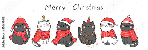 Cute hand drawn illustration character design with cats for christmas and new year.