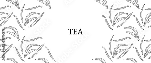 Tea leaf frame in linear style. Linear tea leaf Background in copy space. Vector illustration. eps10