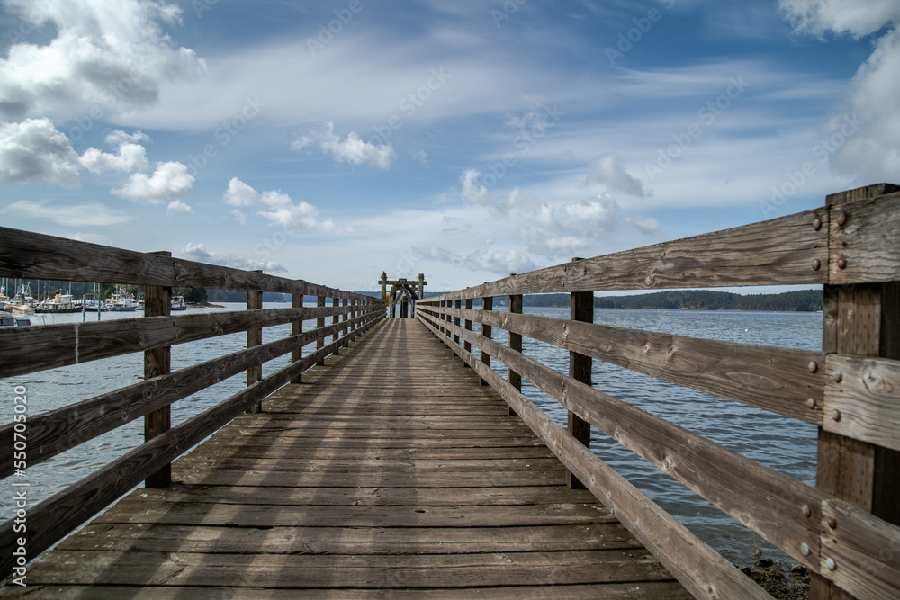 Obraz premium wooden bridge over lake