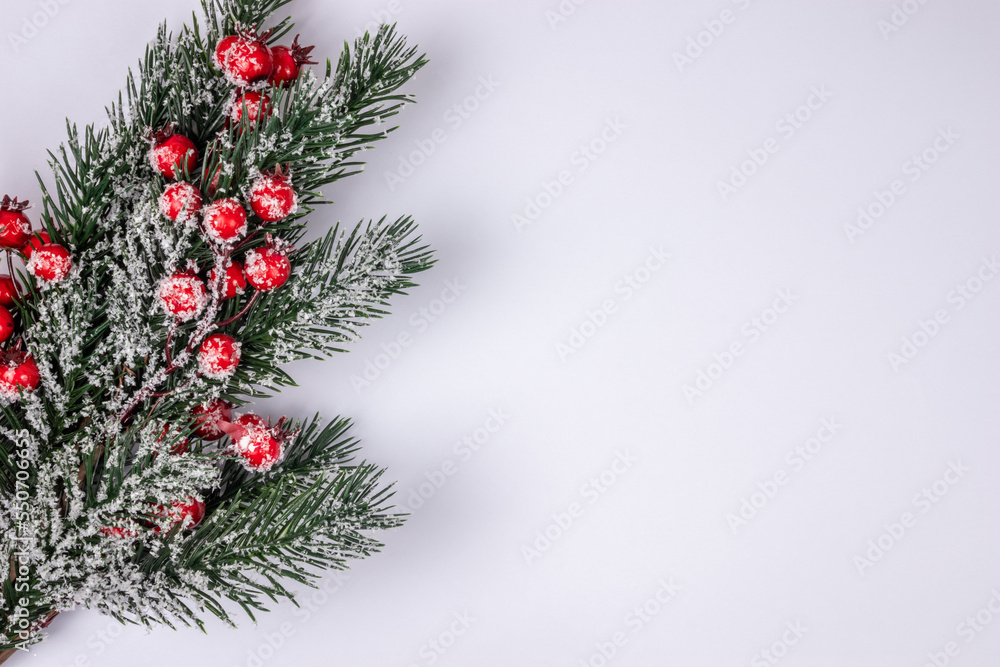 Fir green christmas tree spruce branch with holly covered with snow on white background top view with copy space.