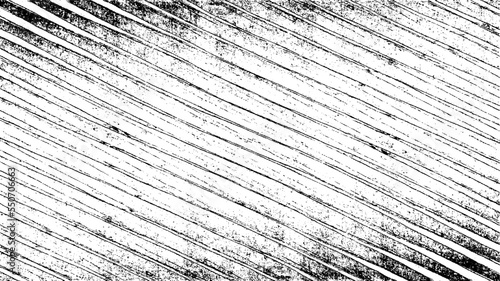 Slim lines texture. Parallel and intersecting lines abstract pattern. Abstract textured effect. Black isolated on white background.Vector illustration. EPS10.