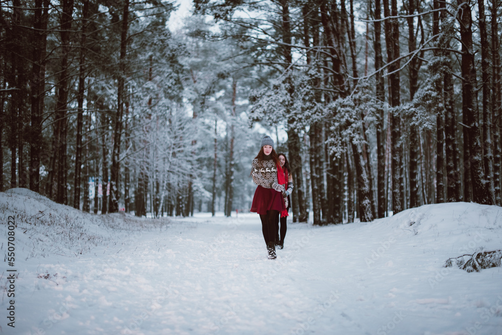 Close up fashion portrait of two sisters hugs and having fun in winter time forest, wearing sweaters and scarfs,best friends couple outdoors, snowy weather