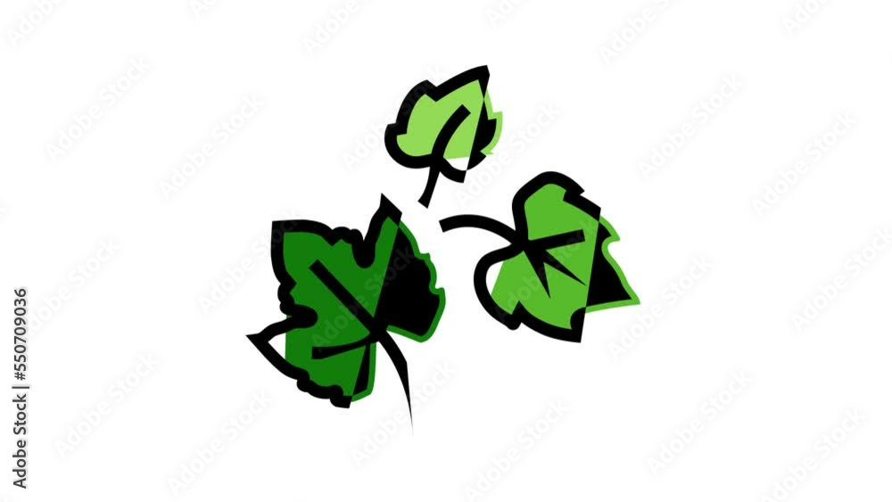 leaf grape green color icon animation leaf grape green color icon animation