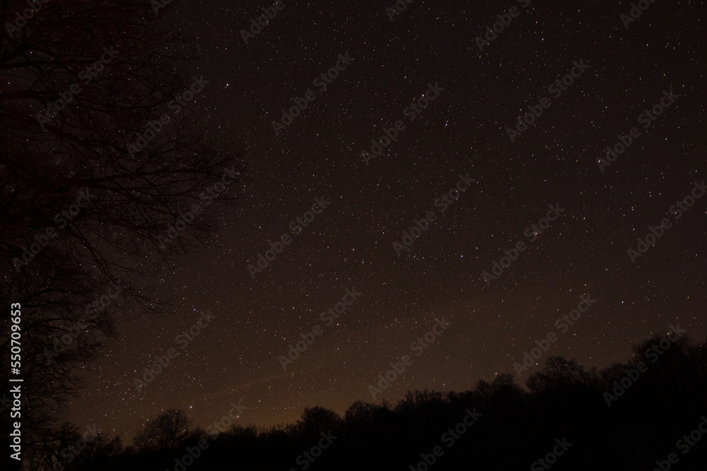forest sky at night with stars and tree top silhouettes in the background