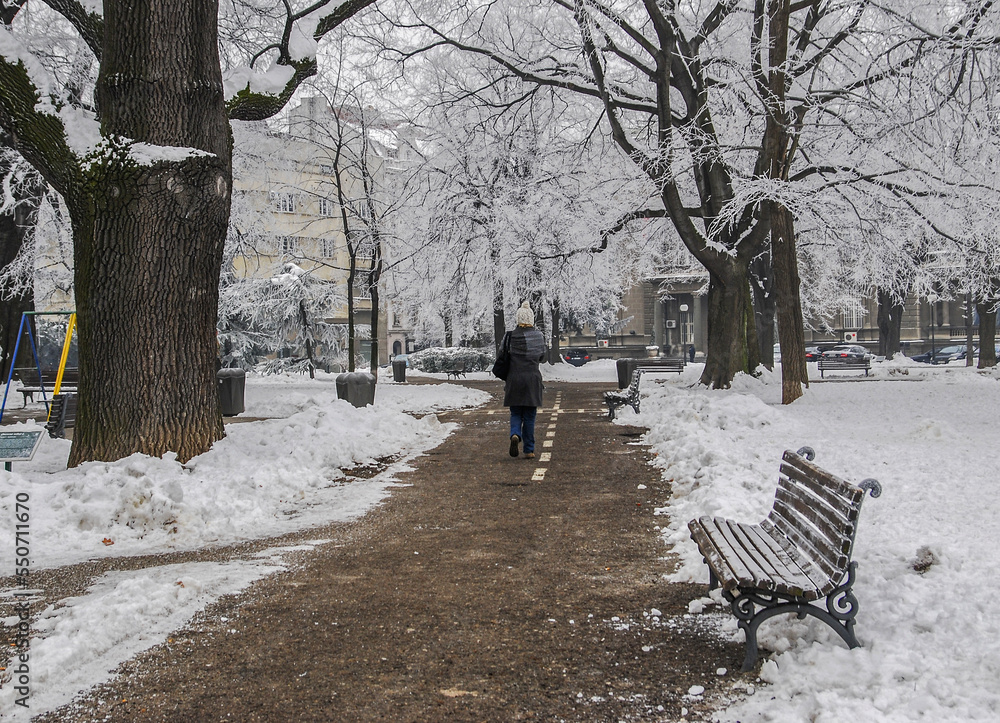 Winter scene at the park, Belgrade, Serbia