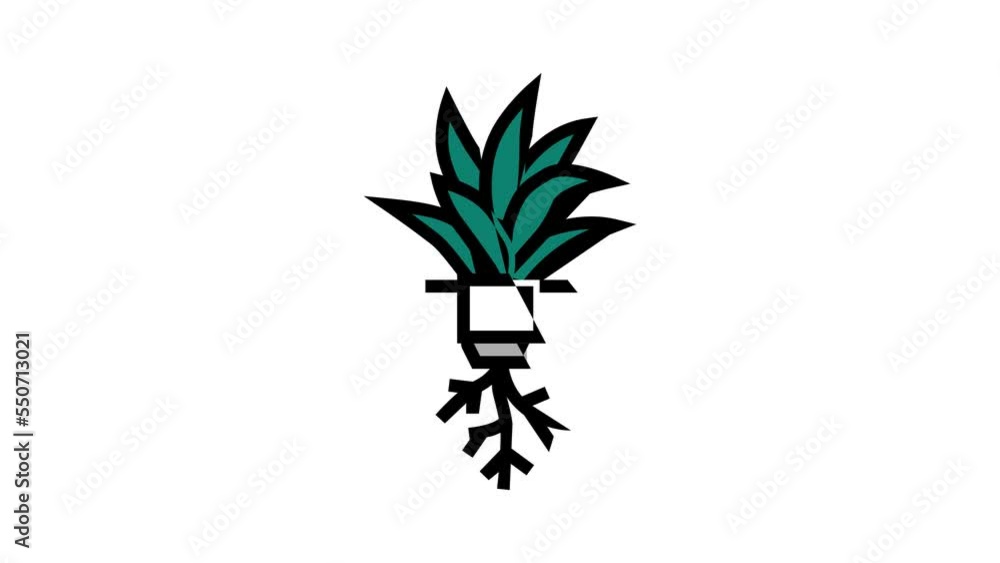 plant hydroponics water irrigation color icon animation plant hydroponics water irrigation color icon animation