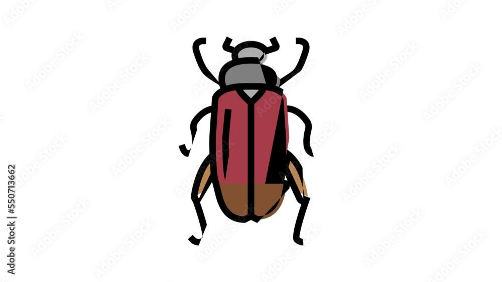 chafer insect color icon animation chafer insect color icon animation