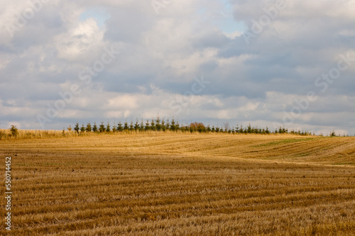 agricultural field in autumn, gray sky and clouds in the background