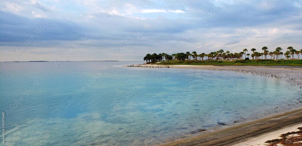 Obraz premium Florida Coast