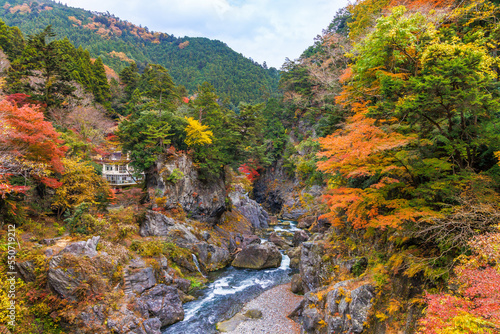 東京、奥多摩の綺麗な紅葉の景色