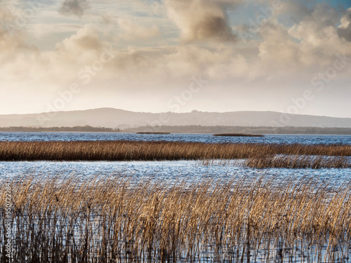 Corrib lake at fall, warm color and blue cloudy sky. Nature scene. County Galway, Ireland. Nobody. Irish landscape. Calm and peaceful mood. photo