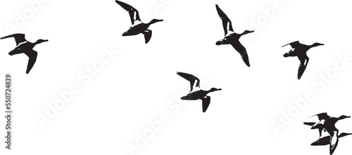 Leinwand Poster Flock of Ducks in Flight Silhouette