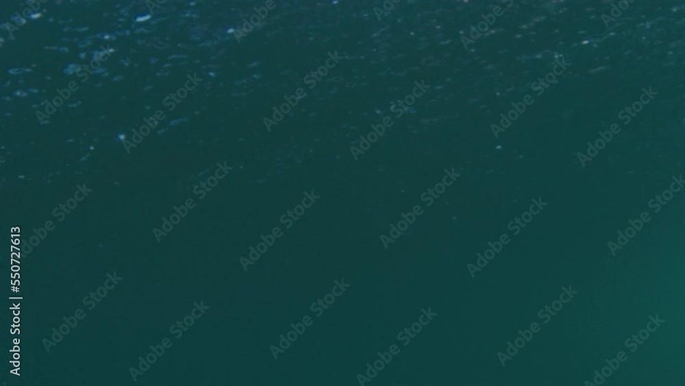 Ocean wave rolls and breaks on Brazilian coast Ocean wave rolls and breaks on Brazilian coast