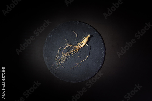 Wild Korean ginseng. Wild Ginseng has been used in best traditional medicine