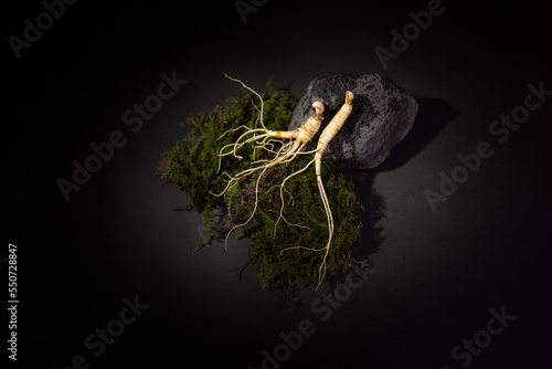 Foto Wild Korean ginseng