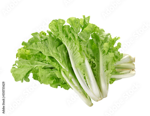 lettuce leaves isolated on  transparent png