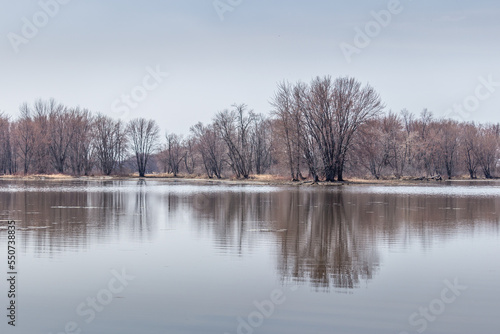 Beautiful winter landscape at the ravine Petrie Island, Ottawa