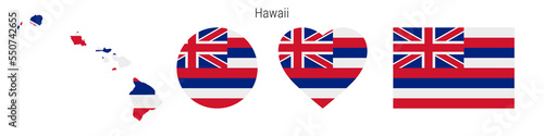 Hawaii flag in different shapes icon set. Flat vector illustration