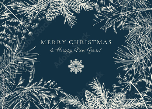 Winter card with fir and pine branches, cones, dried grasses. Botanical illustration. Vector holiday card. Blue and White. Sketch.