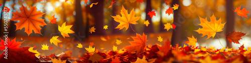 Flying fall maple leaves on autumn background. Falling leaves  seasonal banner with autumn foliage