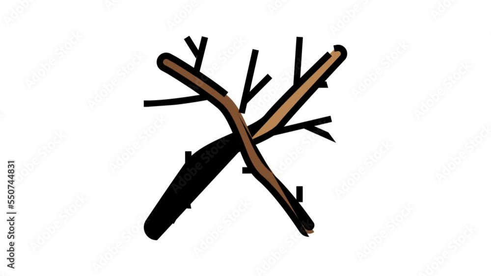 twig wood timber color icon animation twig wood timber color icon animation