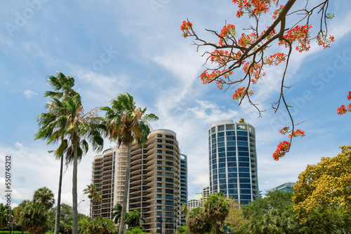 Views of multi-storey condos from below with trees at Miami, Florida © Jason