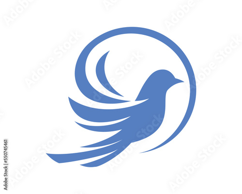 Fotografia dove of peace symbol