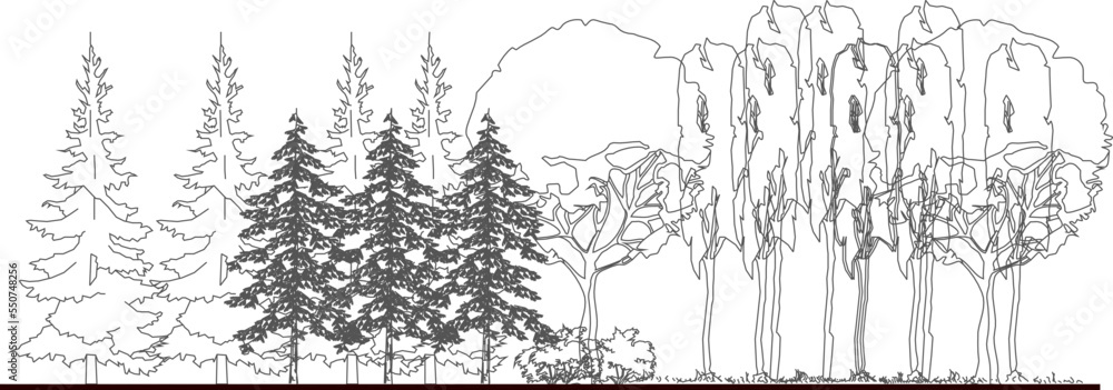 Forest vector sketch with white background