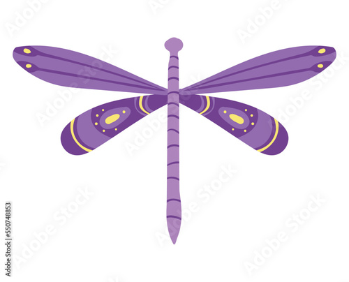 purple dragonfly insect