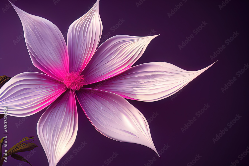 Fototapeta premium Beautiful Flower with solid background 