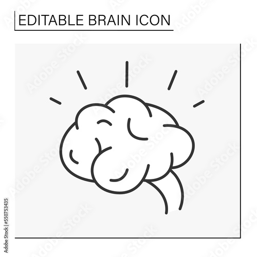  Brain line icon. Healthy brain. Inspiration and knowledge. Brainstorming concept. Isolated vector illustration. Editable stroke