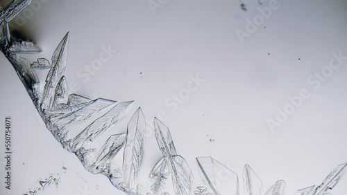 Growing salt crystals time lapse under microscope bright field view photo