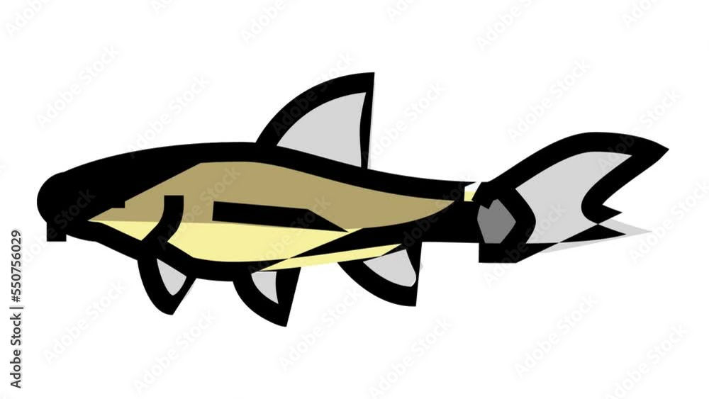 otocinclus fish color icon animation otocinclus fish color icon animation