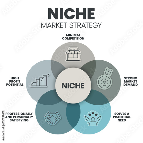 Niche Market Strategy infographic presentation template with icons such as competition, market demand, practical need, high profit potential, professionally and personally satisfying. Business Vector.